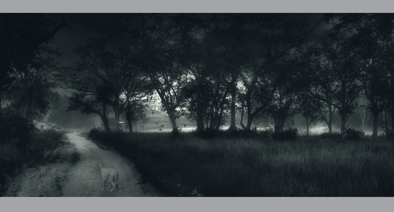 Fine Art Collectors Photographs for sale - Fine Art Black and White Photography Prints in limited edition for Sale