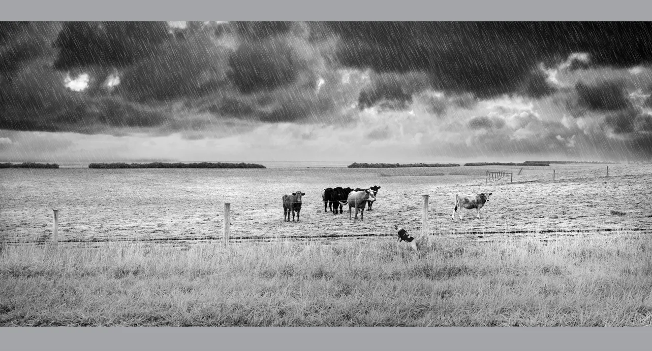 Fine Art Collectors Photographs for sale - Fine Art Black and White Photography Prints in limited edition for Sale