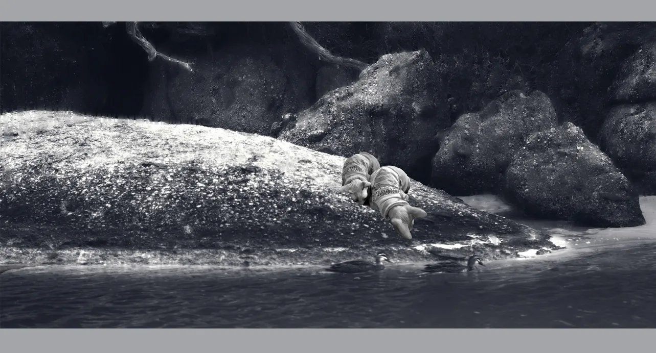 Fine Art Collectors Photographs for sale - Fine Art Black and White Photography Prints in limited edition for Sale
