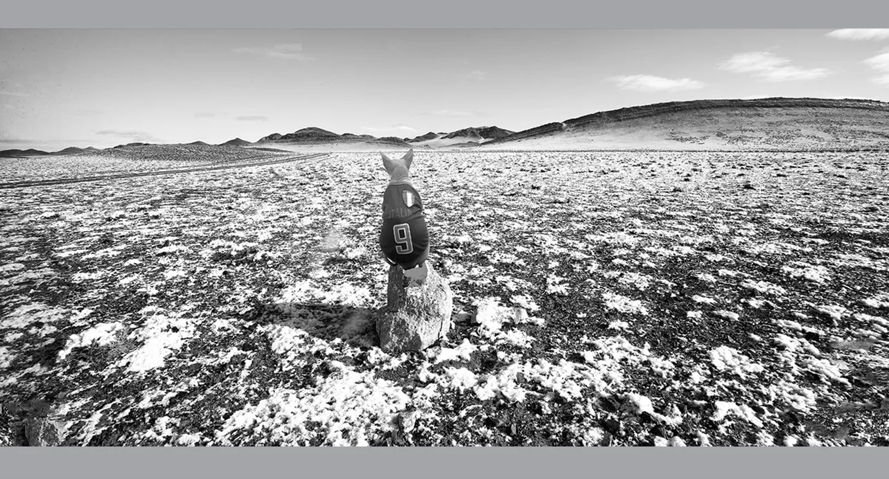 Fine Art Collectors Photographs for sale - Fine Art Black and White Photography Prints in limited edition for Sale