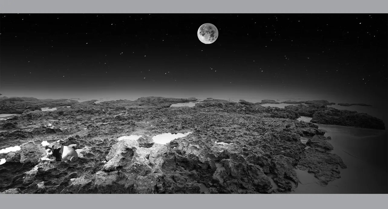 Fine Art Collectors Photographs for sale - Fine Art Black and White Photography Prints in limited edition for Sale