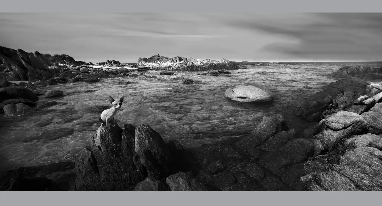Fine Art Collectors Photographs for sale - Fine Art Black and White Photography Prints in limited edition for Sale