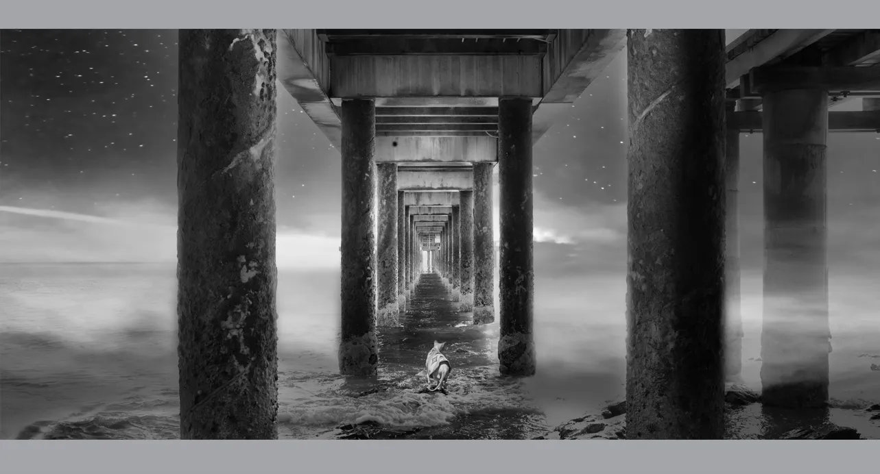 Fine Art Collectors Photographs for sale - Fine Art Black and White Photography Prints in limited edition for Sale