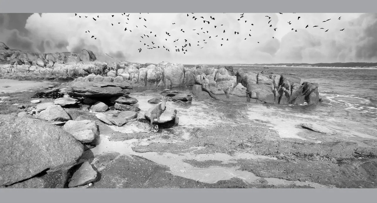 Fine Art Collectors Photographs for sale - Fine Art Black and White Photography Prints in limited edition for Sale