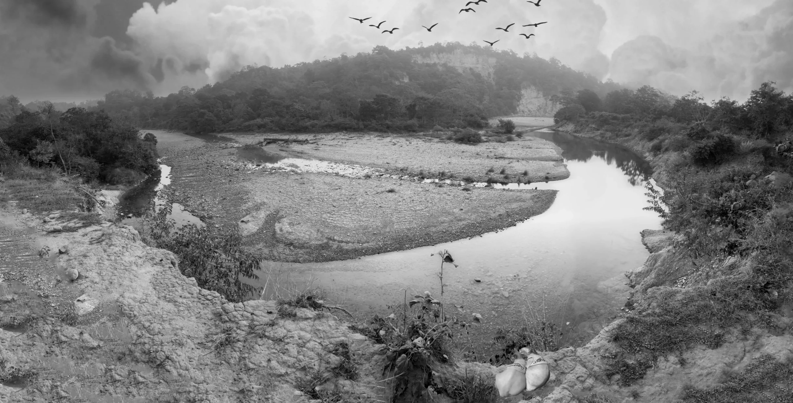 Sphynx Cats in Art Cats in Arts Sphynx Cats photos for sale 2 1 scaled