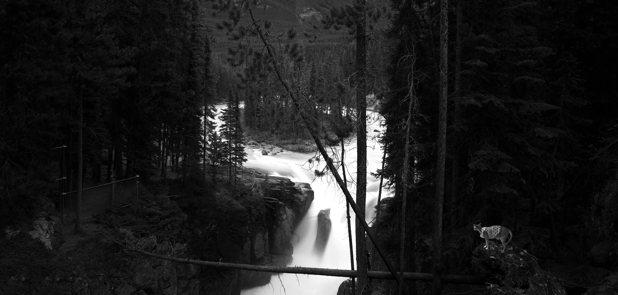 WATERSCAPES - WATERFALLS - Black and White Waterfalls photos for sale.