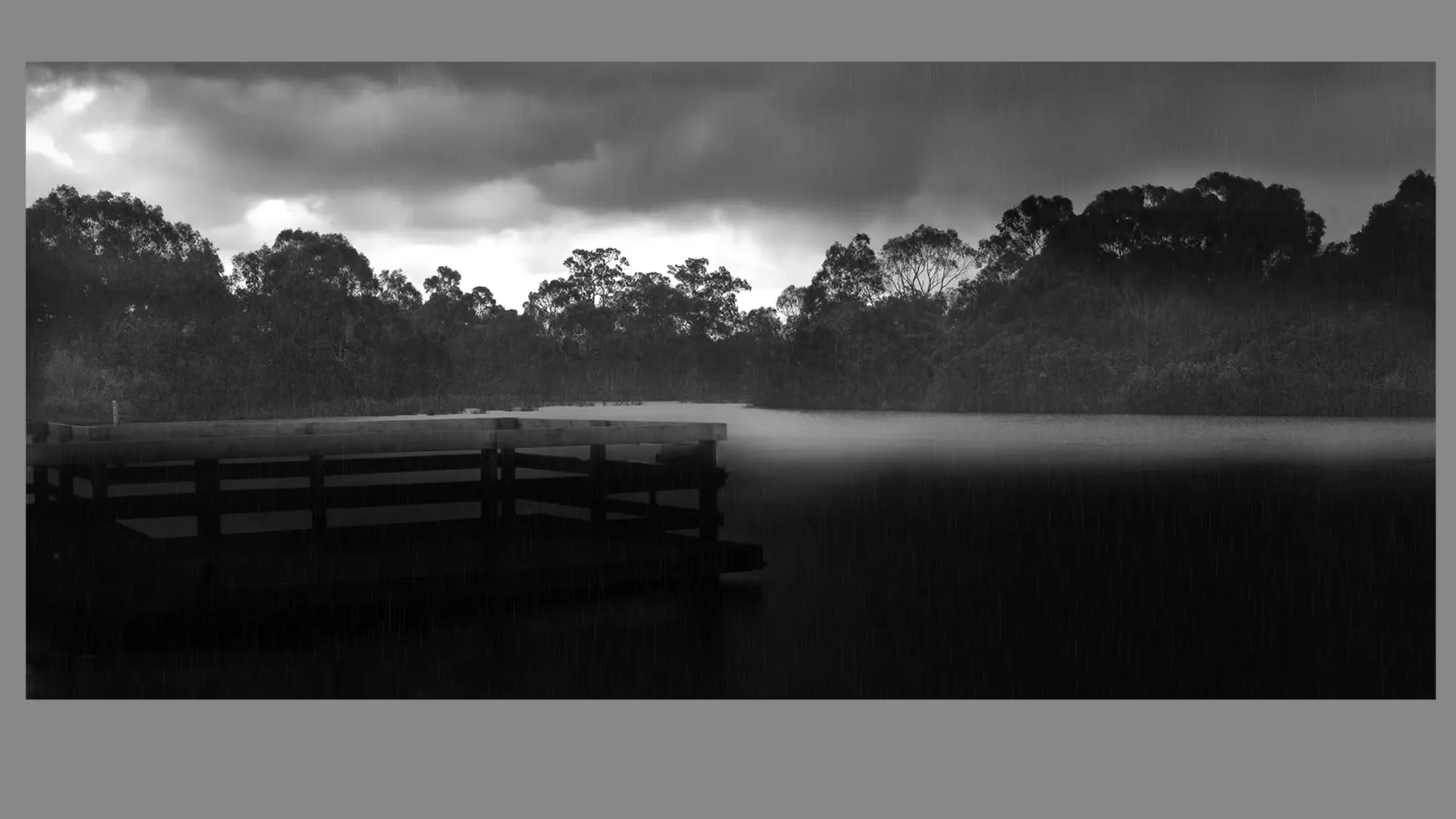 Growth After Storms: Life Coaching Through Rain