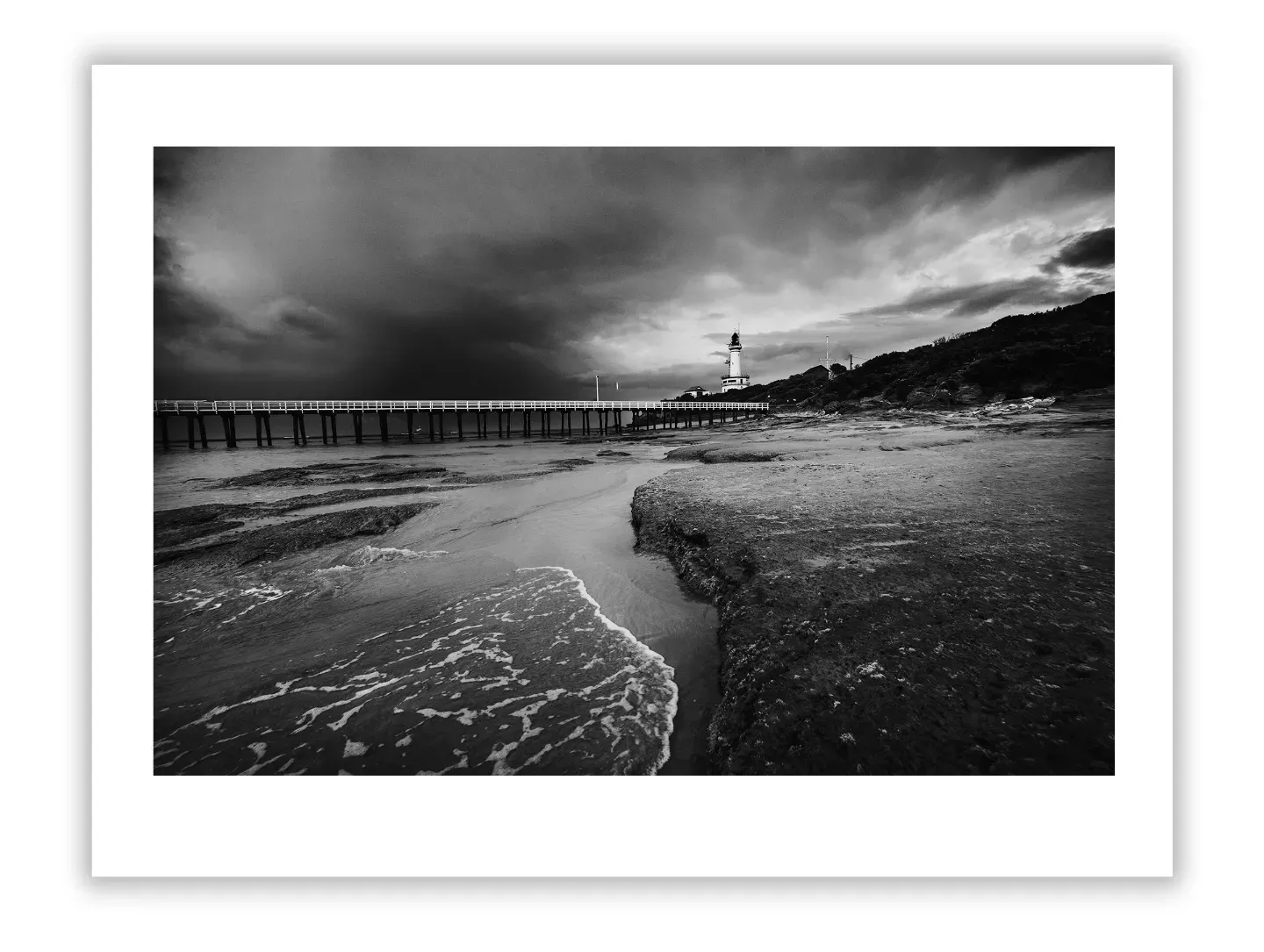 Nature Photography