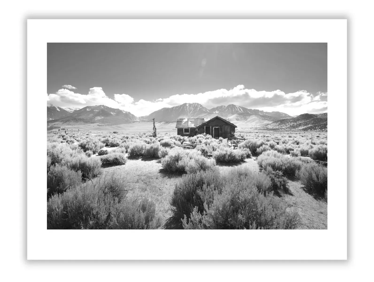 Art and Colour in Boutique Hotels & Luxury Resorts