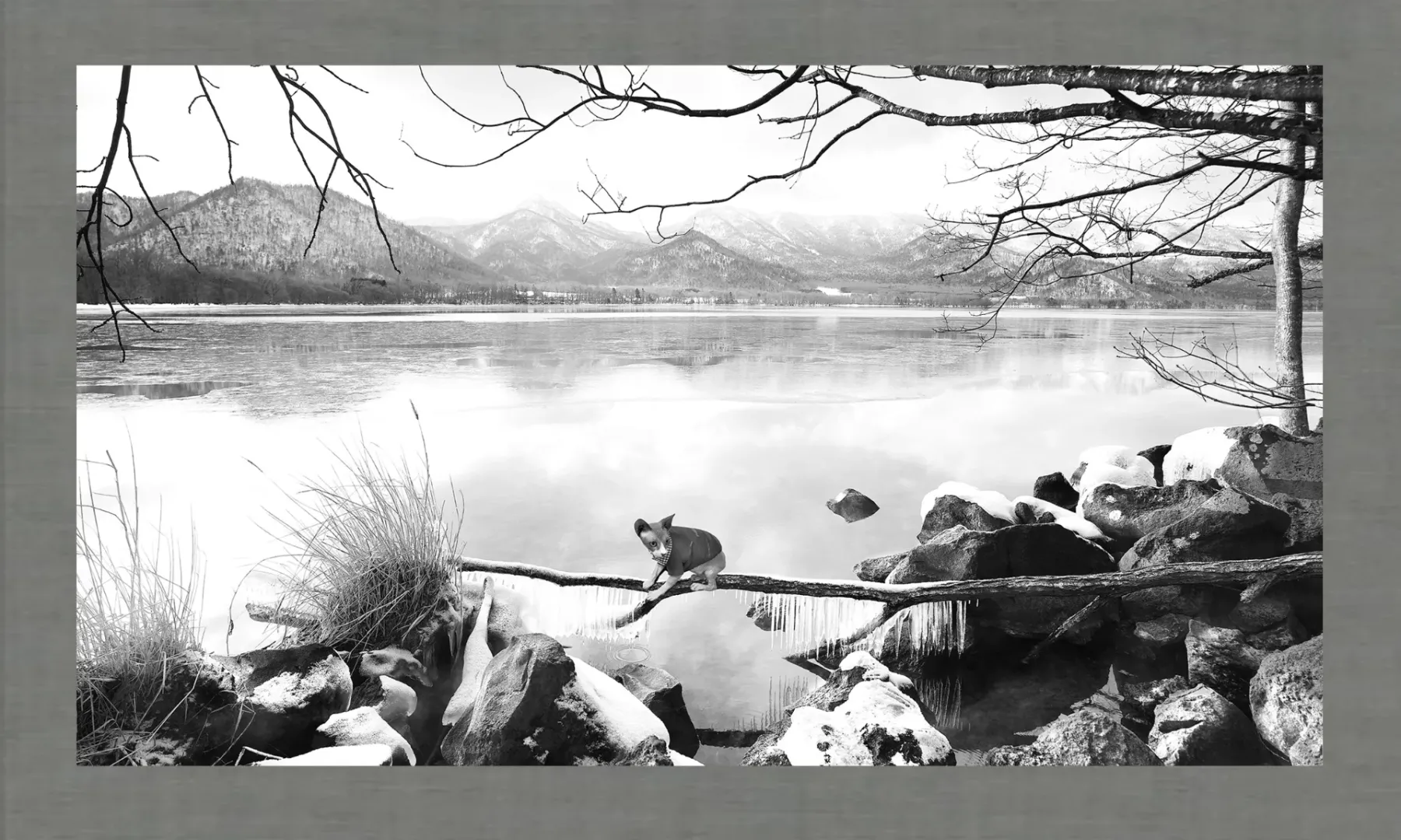 Discover Edward Weston's legacy in modern photography—his pioneering work in form, abstraction, and natural detail through black-and-white large-format precision.