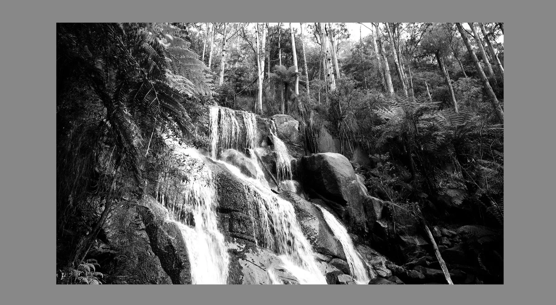 1.4.14 ORIENTATION Black and White Photographs NON PANO4X6Widerside WATERFALLS CREEK L1018703 Toorongo 2019