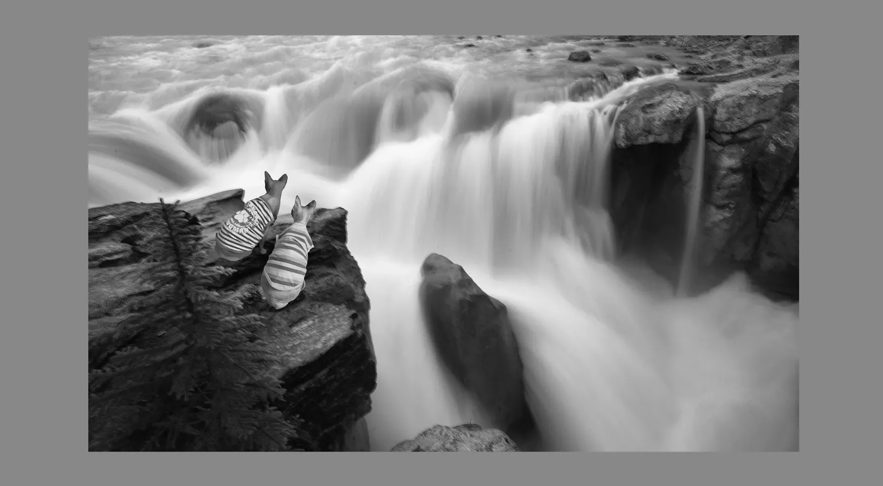 1.4.19 ORIENTATION Black and White Photos NON PANO4X6Widerside WATERFALLS L1002975 Sunwapta Falls Canada 2016
