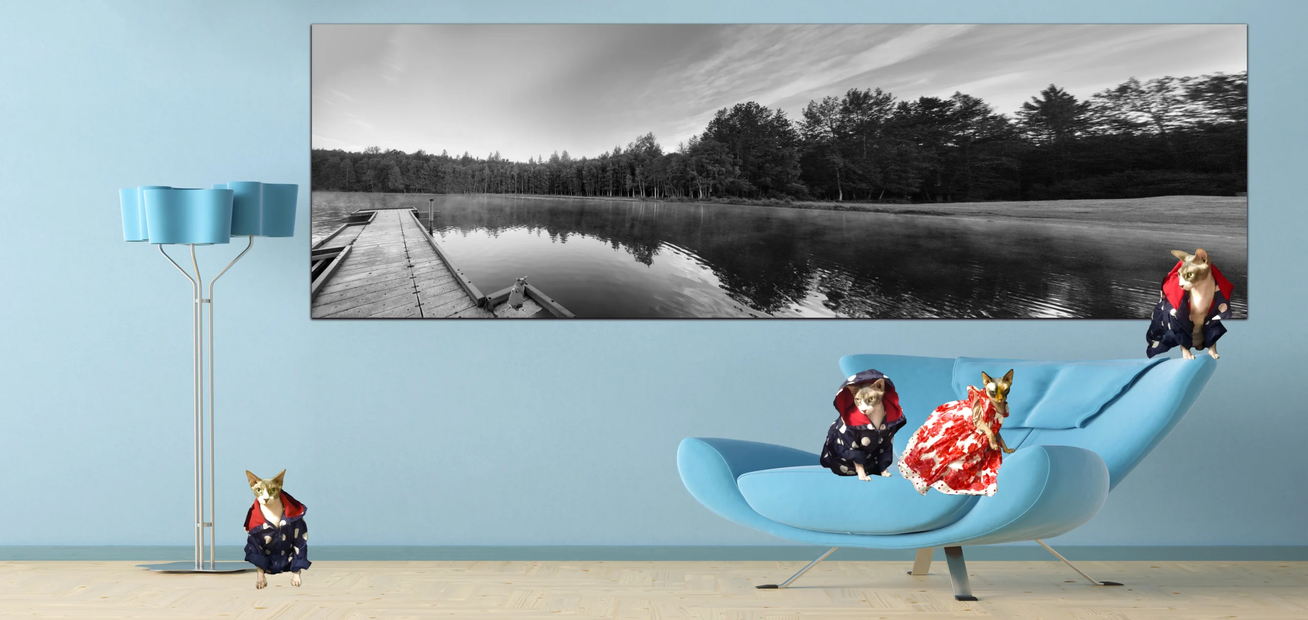 Black and White Waterscapes Reflections Photos, Fine Art Photography with sphynx Cats