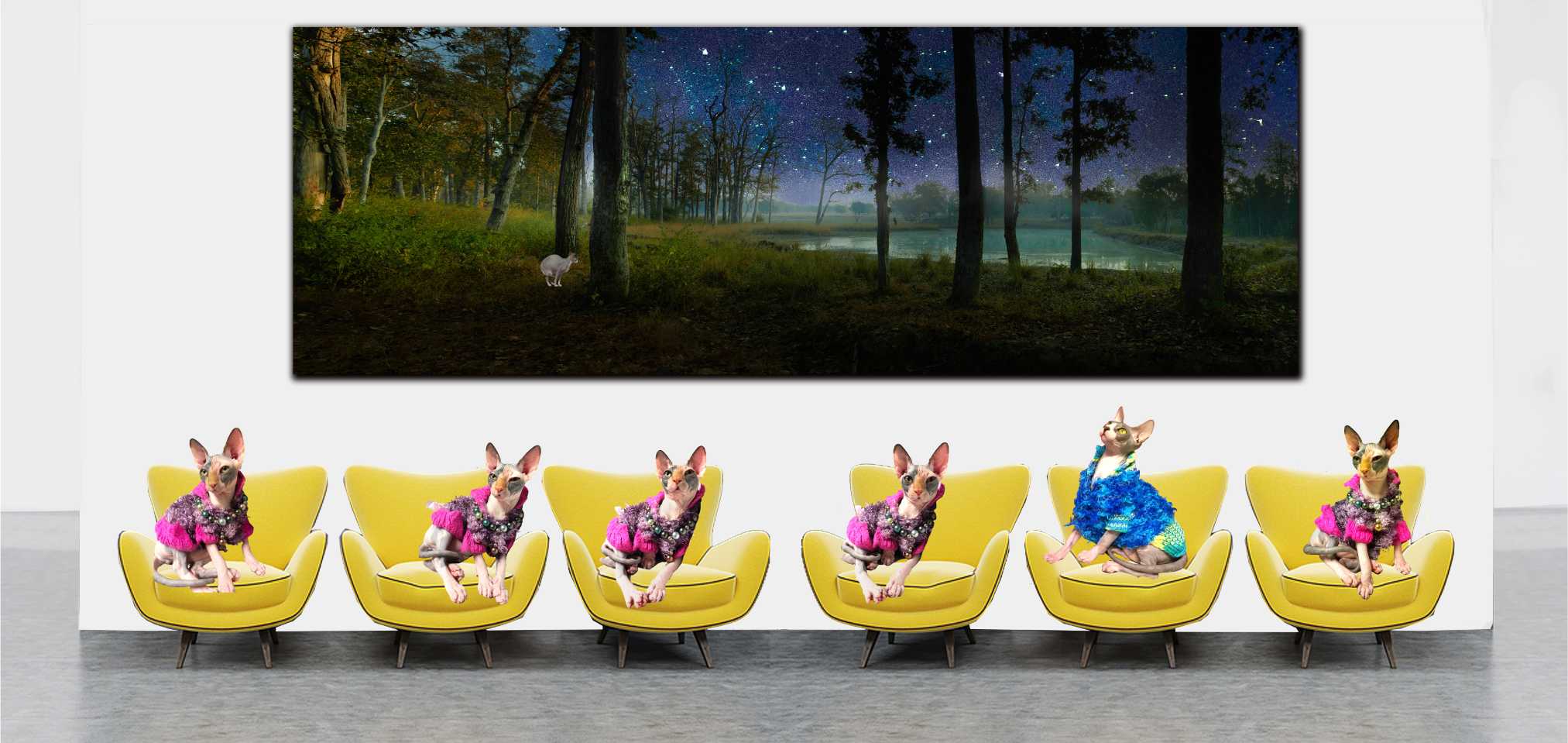 Buy Fine Art - Fine Art Black & White Photography - Fine Art Photography For Sale - Original Photography For Sale - landscape