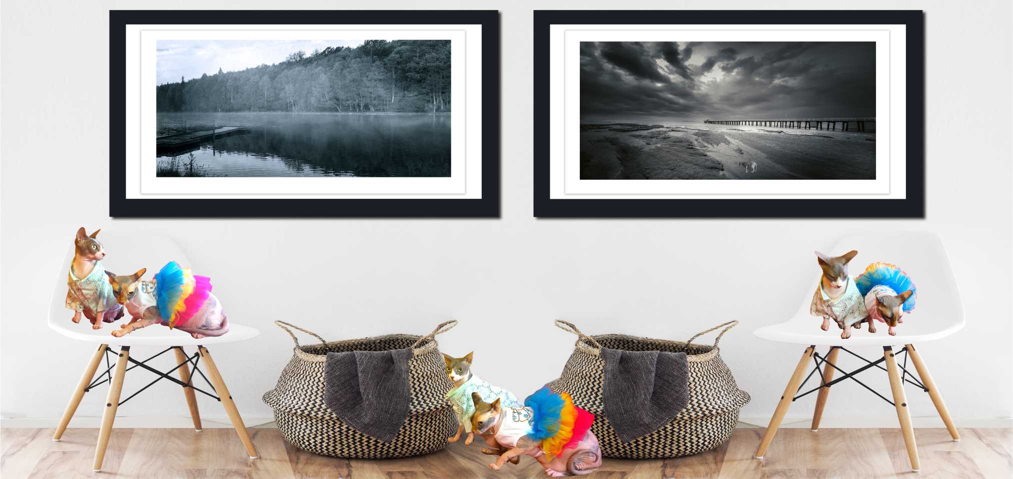  Coastal, Beach and Shoreline PHOTOGRAPHY