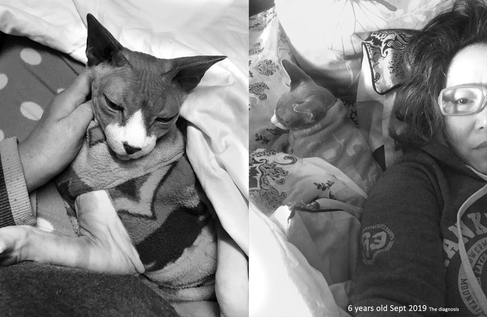 Waiting Across Lifetimes: A Poem of Love, Loss, Poetry, Pet Poems, Grief Poems, Pet Loss Poem, Pet Grief Poem, Pet Memorial Poems, Animal Grief Poem, Coping with Pet Loss Poem, Coping with Pet Loss Poem, Mourning Pets Poem,