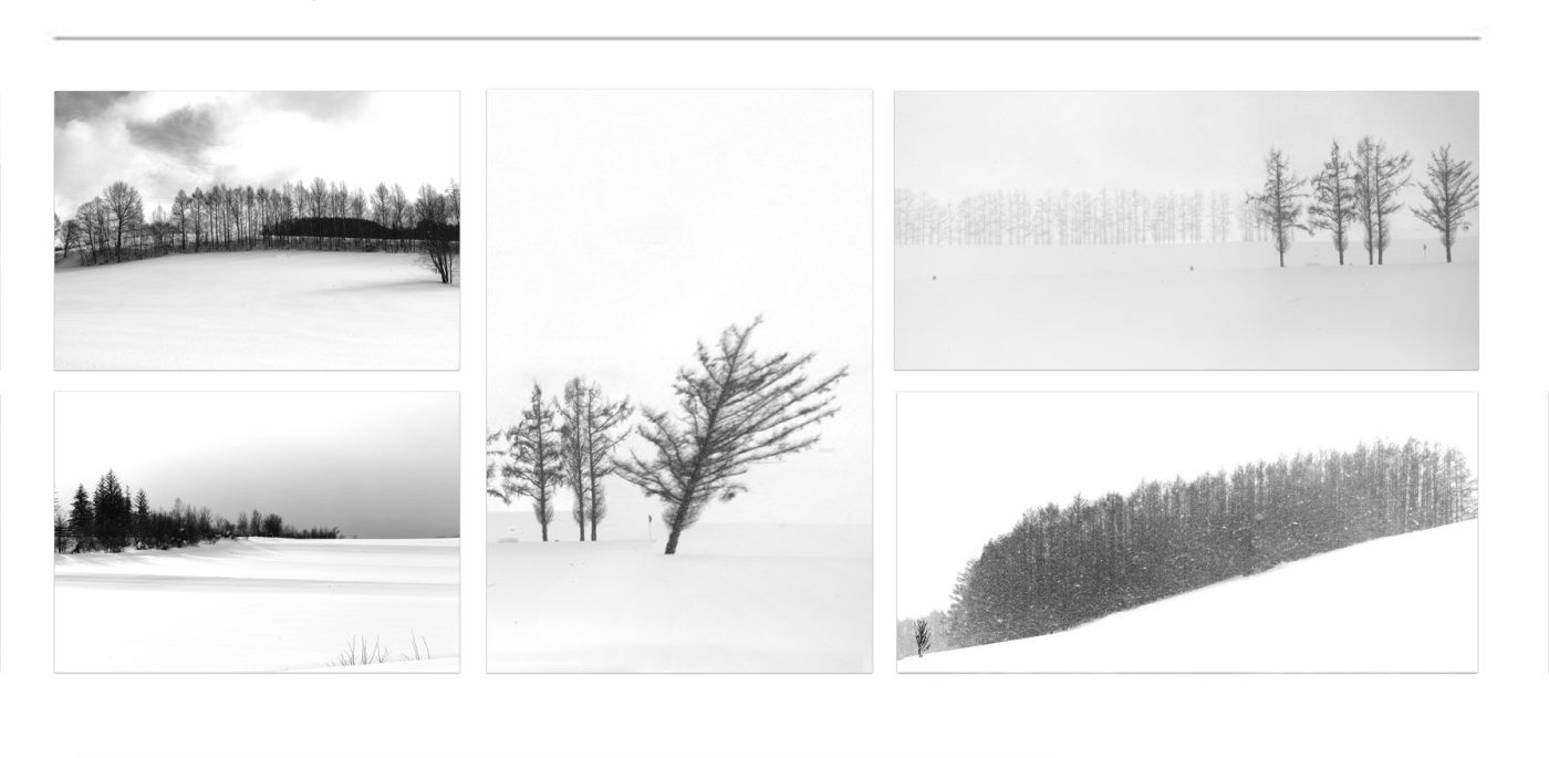 BLACK AND WHITE FINE ART PHOTOGRAPHS FOR SALE (4)