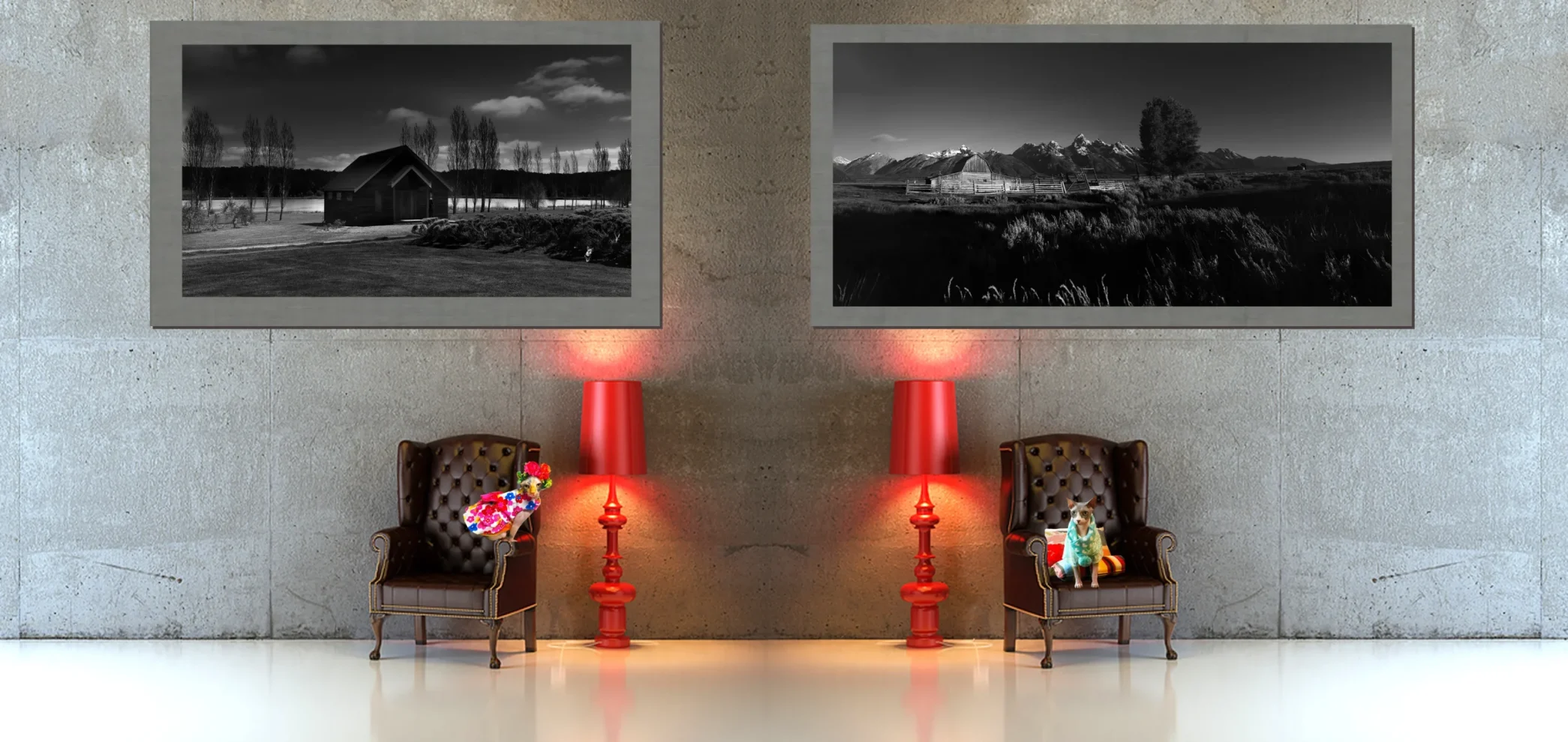 Black and White Country and Rural Scene Photos, Fine Art Photography with sphynx Cats