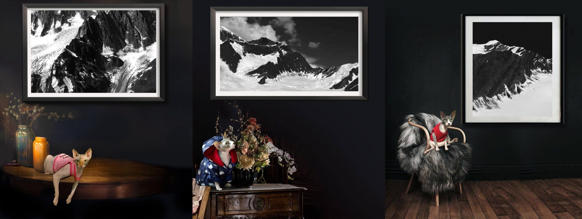 Curated Black and White Photography by Dr Zenaidy Castro (1)